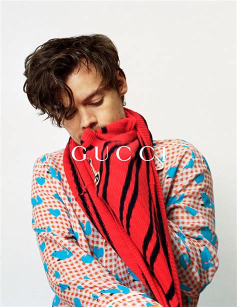 harry styles gucci overture|Harry Styles Gucci.